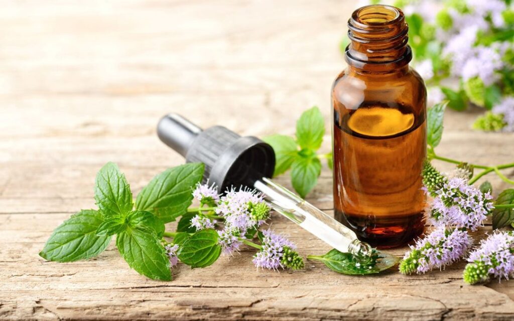 Benefits of CBD Oil for Physical Wellness