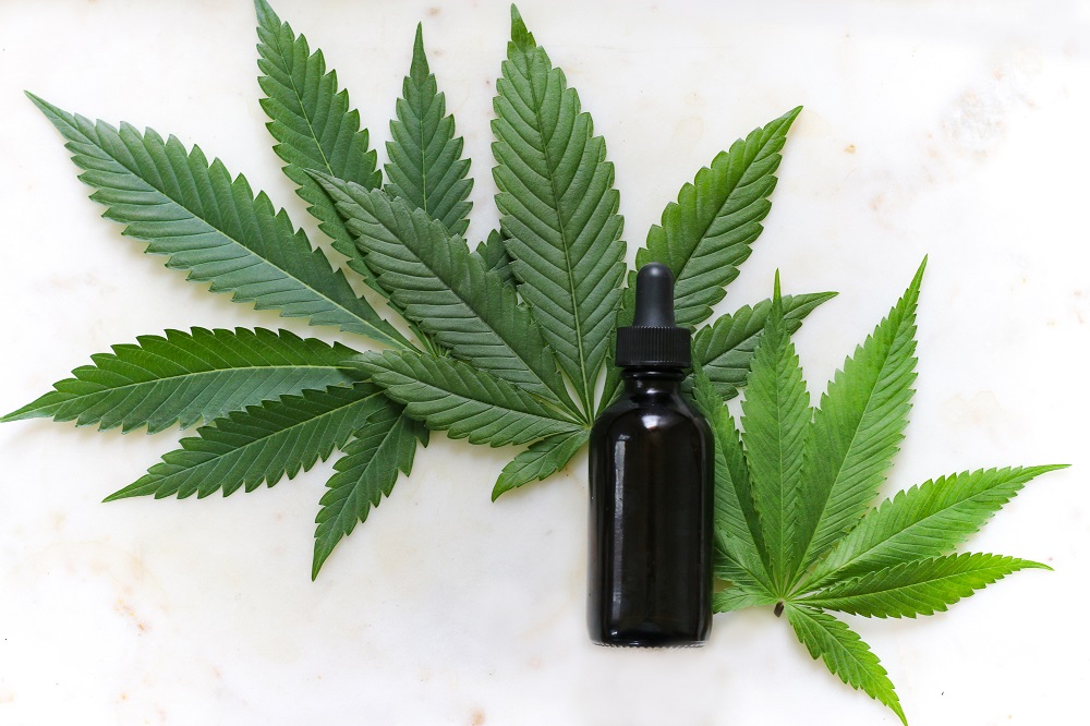 The Benefits of CBD Oil for Pets