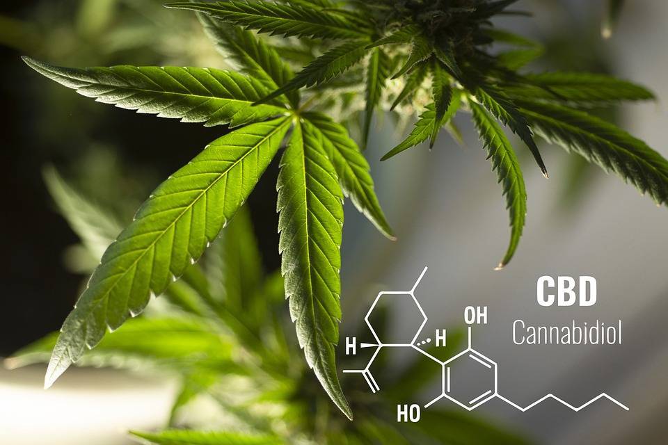 CBD Affects Neurotransmitters