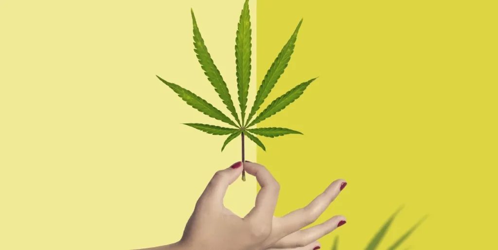 CBD for hormonal imbalance