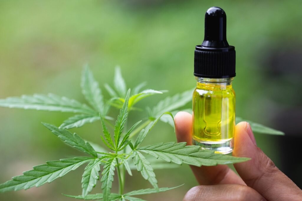 What Happens If Your CBD Contains THC in Idaho