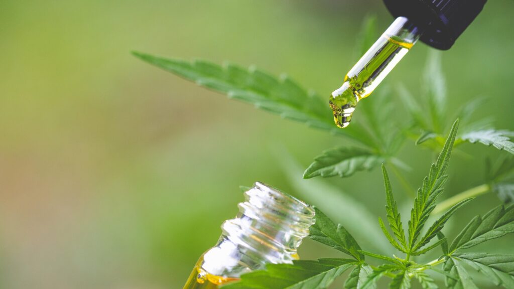 Time to take CBD Oil