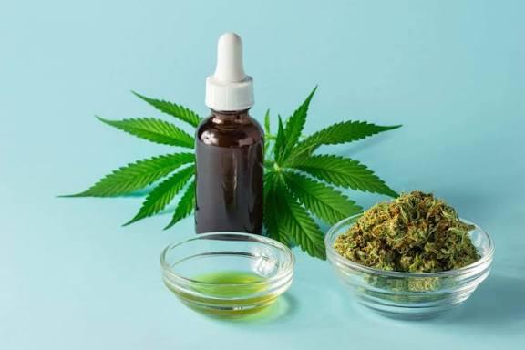 When Should You Take CBD Oil